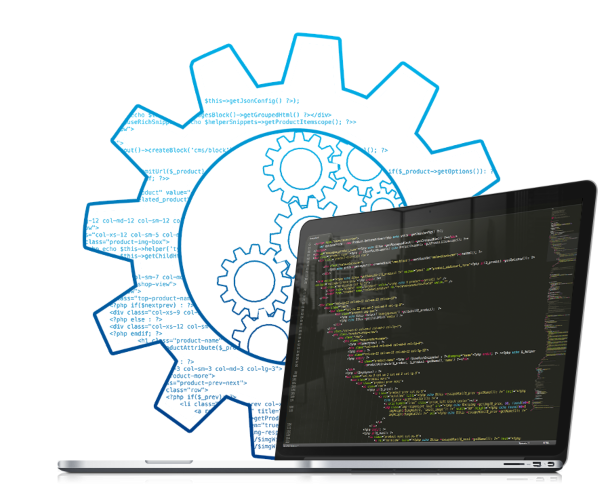 Professional Website Design Agency