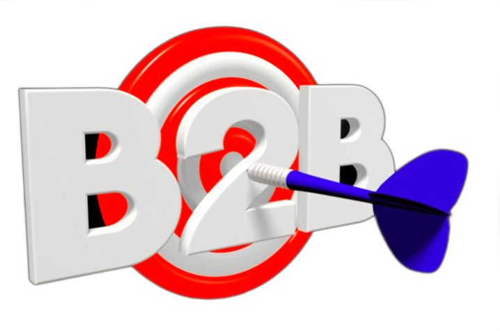 B2B Portals